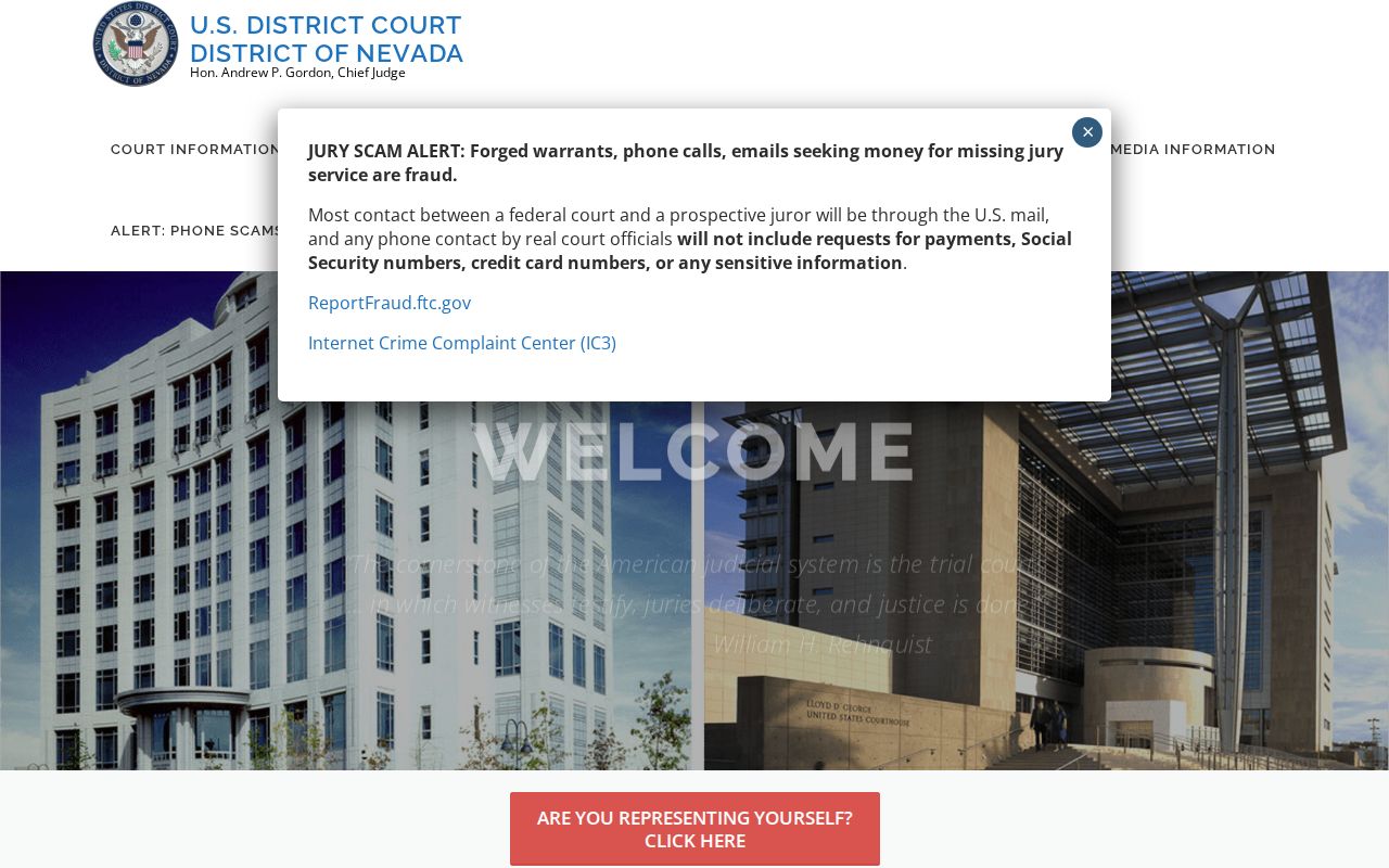 Lander County criminal history District of Nevada court